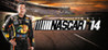 NASCAR '14 Image