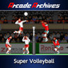Arcade Archives: Super Volleyball Image