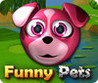 Funny Pets Image