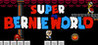 Super Bernie World Image