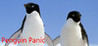 Penguin Panic Image