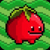 Tomato World Image