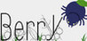 Berry Image