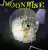 Moonrise Fall Image