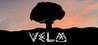 VeLM Image