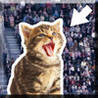 Kitty in the Crowd Image