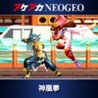 ACA NeoGeo: Ragnagard Image