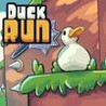Duck Run Image