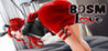 BDSM Love Image