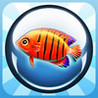 Planet Fish Image