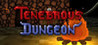 Tenebrous Dungeon