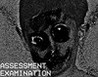 Assessment Examination