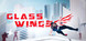 Glass Wings Product Image