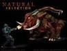 Natural Selection Image