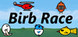 Birb Race Product Image