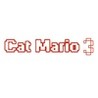 Cat Mario 3 Image