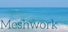 Meshwork Image
