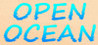 Open Ocean Image