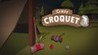 Crazy Croquet