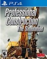 Professional Construction: The Simulation Image