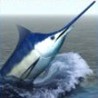iFishing Saltwater Image