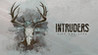 Intruders: Hide and Seek Image