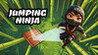 Jumping Ninja Image