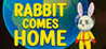 Rabbit Comes Home Image