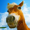 Counting Game Animals Image