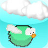 Beautiful Birds Flying Adventure Image