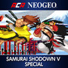 ACA NeoGeo: Samurai Shodown V Special