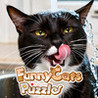 Funny Cats Puzzle Image