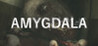 Amygdala