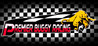 Premier Buggy Racing Tour Image