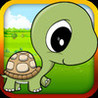 Baby Turtle Flying - Tortoise Fly Racing Image