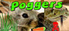 Poggers Image