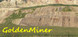GoldenMiner Product Image