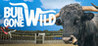 Bull Gone Wild Image
