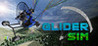 Glider Sim Image