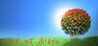 road of death (II)