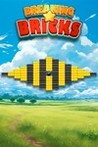 Breaking Bricks Image