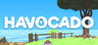 Havocado: Ragdoll Fighter Image