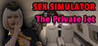 Sex Simulator - The Private Jet Image