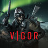 Vigor Image