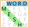 Word Mesh Image