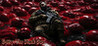 Entity: The Black Day Image