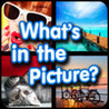 What is in the Picture? Image