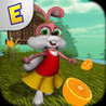 Bayla Bunny Image