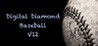 Digital Diamond Baseball V12 Image