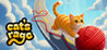 Cat's Rage